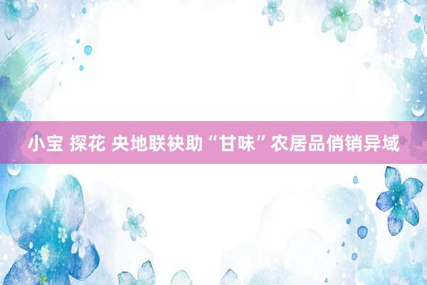 小宝 探花 央地联袂助“甘味”农居品俏销异域