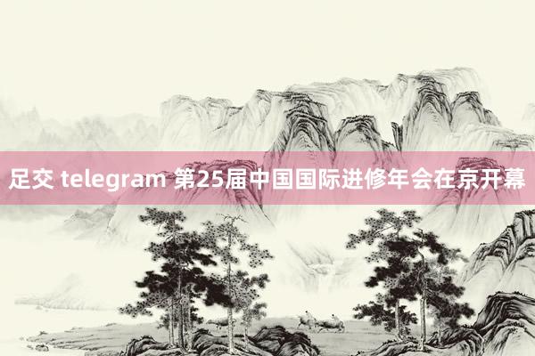 足交 telegram 第25届中国国际进修年会在京开幕