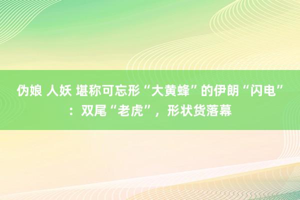 伪娘 人妖 堪称可忘形“大黄蜂”的伊朗“闪电”：双尾“老虎”，形状货落幕