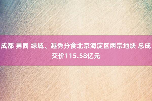 成都 男同 绿城、越秀分食北京海淀区两宗地块 总成交价115.58亿元