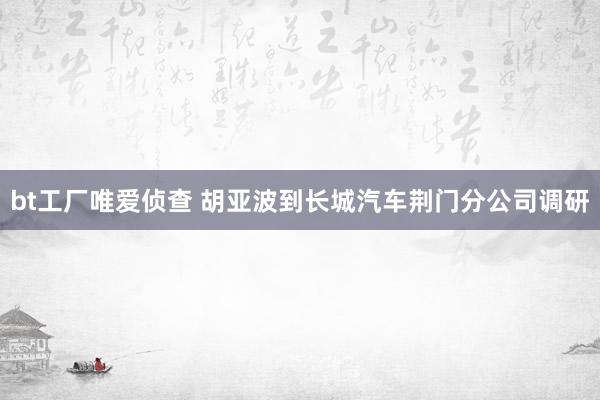 bt工厂唯爱侦查 胡亚波到长城汽车荆门分公司调研