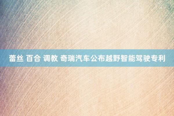 蕾丝 百合 调教 奇瑞汽车公布越野智能驾驶专利