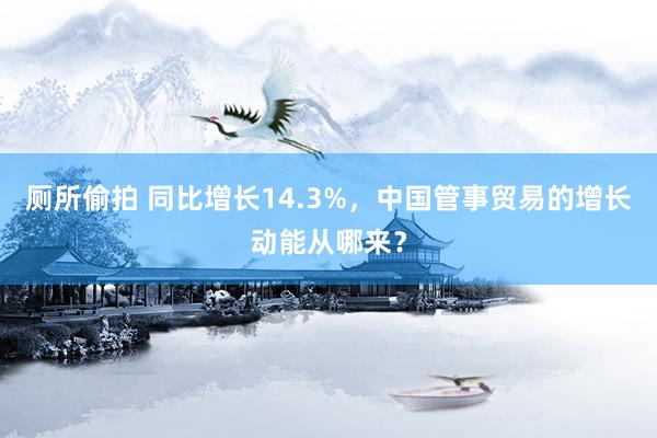 厕所偷拍 同比增长14.3%，中国管事贸易的增长动能从哪来？