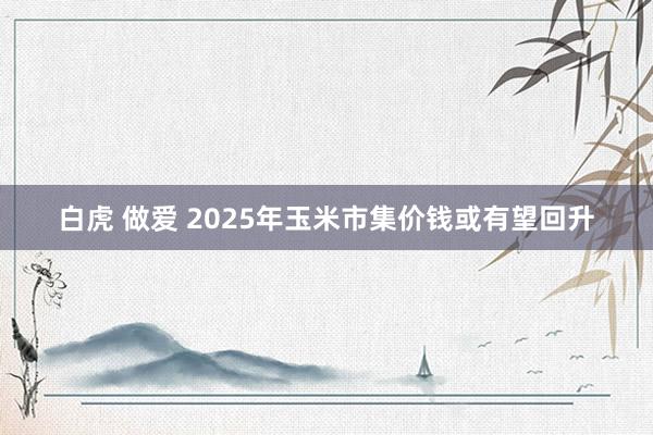 白虎 做爱 2025年玉米市集价钱或有望回升