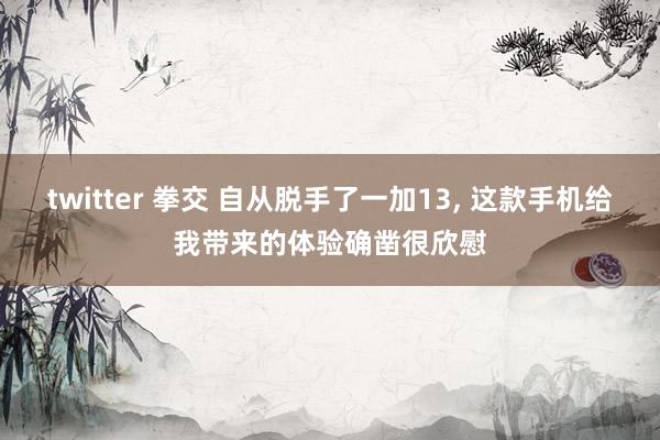 twitter 拳交 自从脱手了一加13， 这款手机给我带来的体验确凿很欣慰
