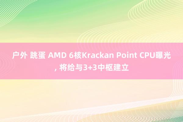 户外 跳蛋 AMD 6核Krackan Point CPU曝光， 将给与3+3中枢建立