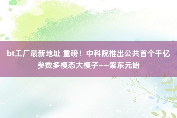 bt工厂最新地址 重磅！中科院推出公共首个千亿参数多模态大模子——紫东元始
