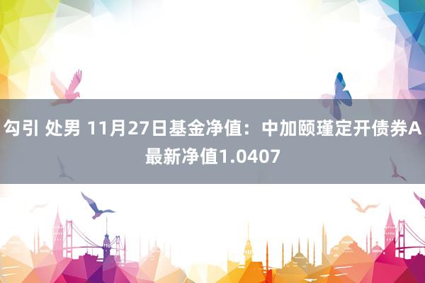 勾引 处男 11月27日基金净值：中加颐瑾定开债券A最新净值1.0407