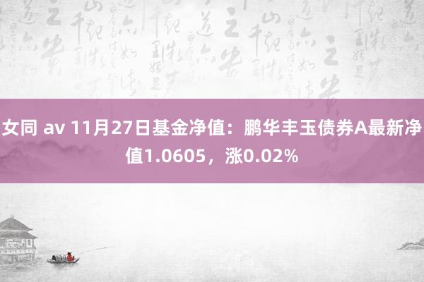 女同 av 11月27日基金净值：鹏华丰玉债券A最新净值1.0605，涨0.02%