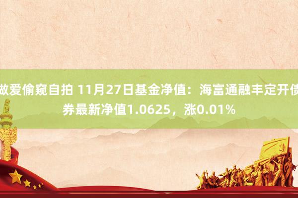 做爱偷窥自拍 11月27日基金净值：海富通融丰定开债券最新净值1.0625，涨0.01%