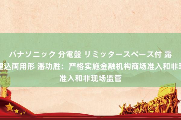 パナソニック 分電盤 リミッタースペース付 露出・半埋込両用形 潘功胜：严格实施金融机构商场准入和非现场监管