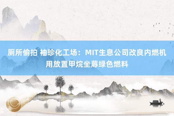 厕所偷拍 袖珍化工场：MIT生息公司改良内燃机用放置甲烷坐蓐绿色燃料