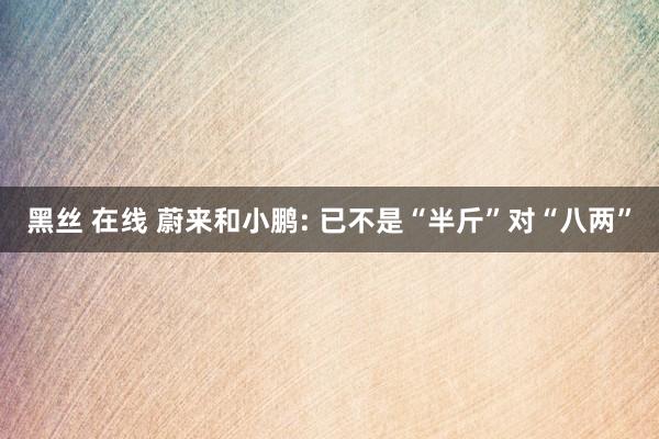 黑丝 在线 蔚来和小鹏: 已不是“半斤”对“八两”