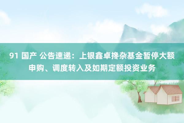 91 国产 公告速递：上银鑫卓搀杂基金暂停大额申购、调度转入及如期定额投资业务