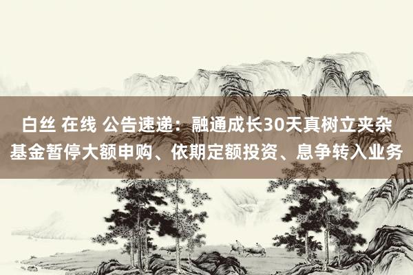 白丝 在线 公告速递：融通成长30天真树立夹杂基金暂停大额申购、依期定额投资、息争转入业务