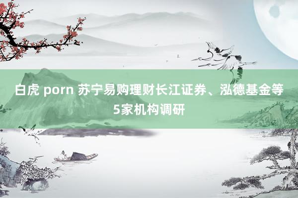 白虎 porn 苏宁易购理财长江证券、泓德基金等5家机构调研
