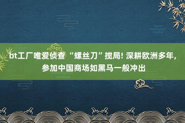 bt工厂唯爱侦查 “螺丝刀”搅局! 深耕欧洲多年， 参加中国商场如黑马一般冲出