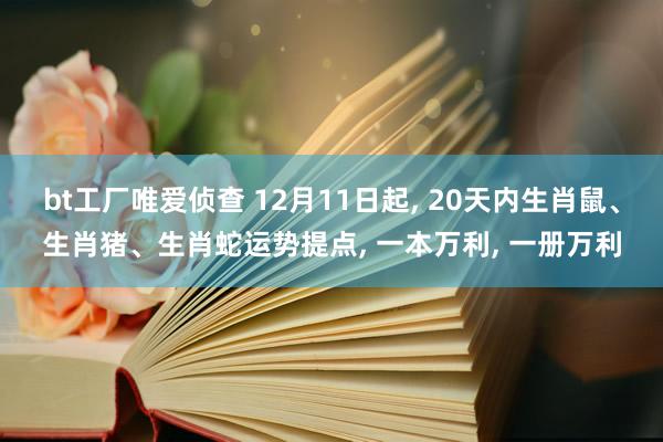 bt工厂唯爱侦查 12月11日起， 20天内生肖鼠、生肖猪、生肖蛇运势提点， 一本万利， 一册万利