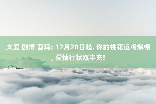文爱 剧情 酉鸡: 12月20日起， 你的桃花运将爆棚， 爱情行状双丰充!