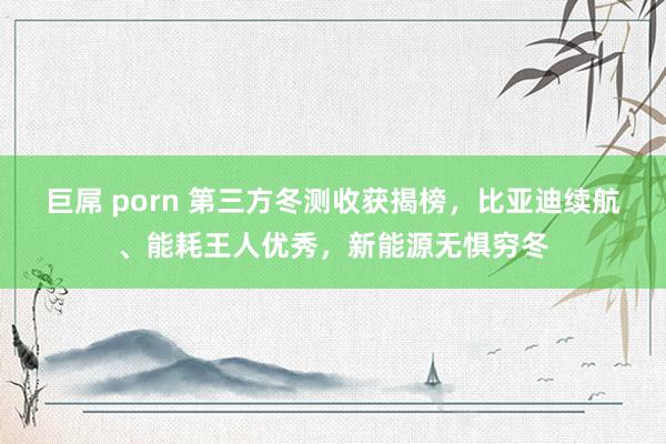 巨屌 porn 第三方冬测收获揭榜，比亚迪续航、能耗王人优秀，新能源无惧穷冬