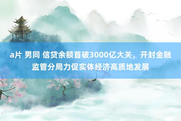a片 男同 信贷余额首破3000亿大关，开封金融监管分局力促实体经济高质地发展