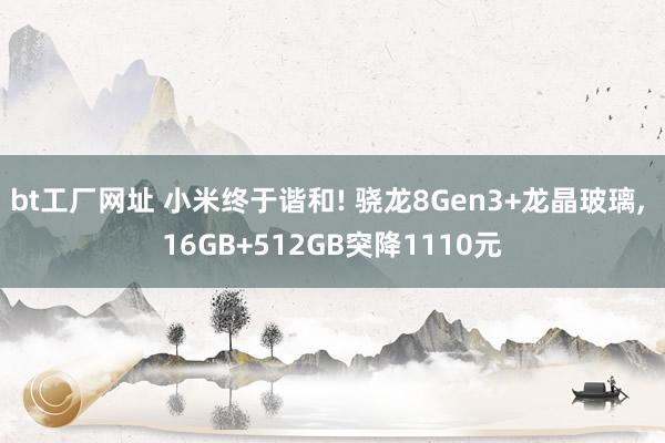 bt工厂网址 小米终于谐和! 骁龙8Gen3+龙晶玻璃， 16GB+512GB突降1110元