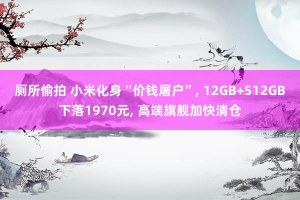 厕所偷拍 小米化身“价钱屠户”， 12GB+512GB下落1970元， 高端旗舰加快清仓