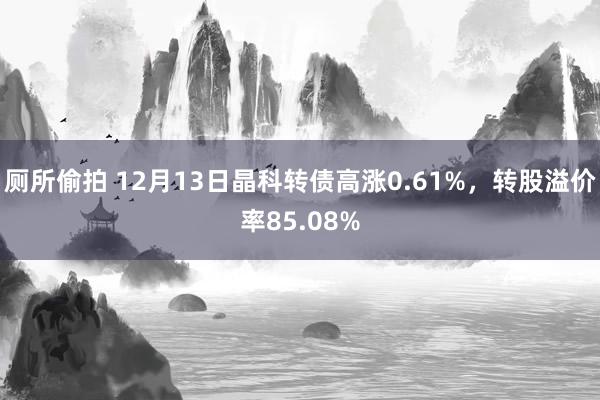 厕所偷拍 12月13日晶科转债高涨0.61%，转股溢价率85.08%