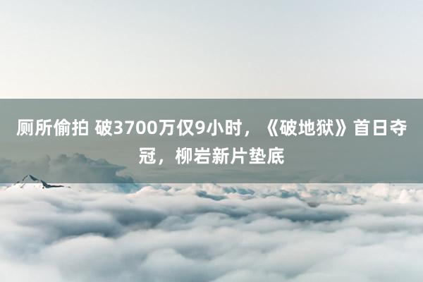 厕所偷拍 破3700万仅9小时，《破地狱》首日夺冠，柳岩新片垫底
