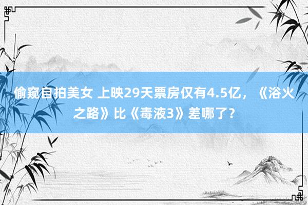 偷窥自拍美女 上映29天票房仅有4.5亿，《浴火之路》比《毒液3》差哪了？
