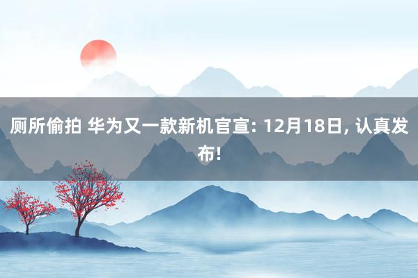 厕所偷拍 华为又一款新机官宣: 12月18日， 认真发布!