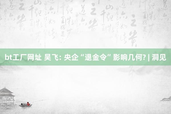 bt工厂网址 吴飞: 央企“退金令”影响几何? | 洞见