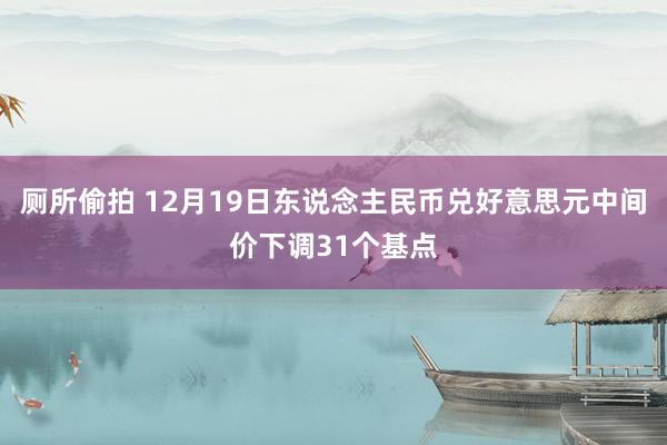 厕所偷拍 12月19日东说念主民币兑好意思元中间价下调31个基点