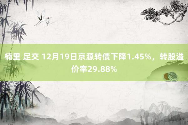 楠里 足交 12月19日京源转债下降1.45%，转股溢价率29.88%