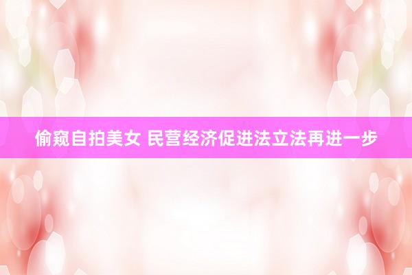 偷窥自拍美女 民营经济促进法立法再进一步