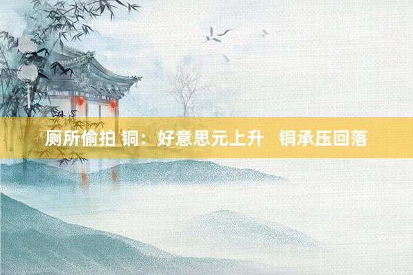 厕所偷拍 铜：好意思元上升   铜承压回落