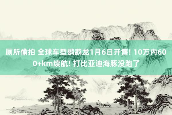厕所偷拍 全球车型鹦鹉龙1月6日开售! 10万内600+km续航! 打比亚迪海豚没跑了