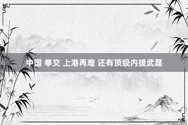 中国 拳交 上港再难 还有顶级内援武磊