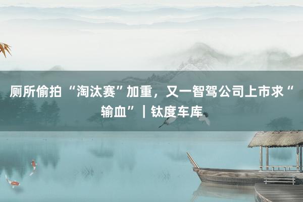 厕所偷拍 “淘汰赛”加重，又一智驾公司上市求“输血”｜钛度车库