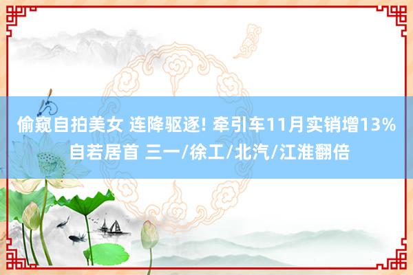 偷窥自拍美女 连降驱逐! 牵引车11月实销增13% 自若居首 三一/徐工/北汽/江淮翻倍