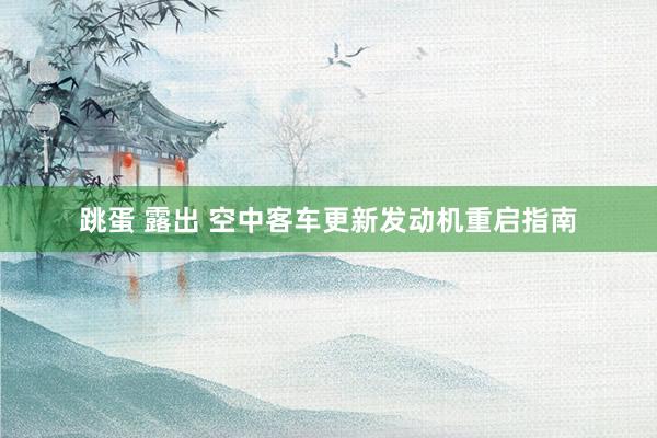 跳蛋 露出 空中客车更新发动机重启指南