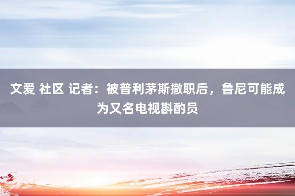 文爱 社区 记者：被普利茅斯撤职后，鲁尼可能成为又名电视斟酌员