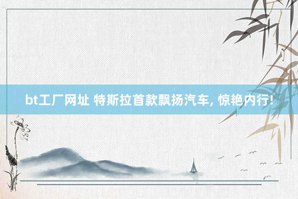 bt工厂网址 特斯拉首款飘扬汽车， 惊艳内行!
