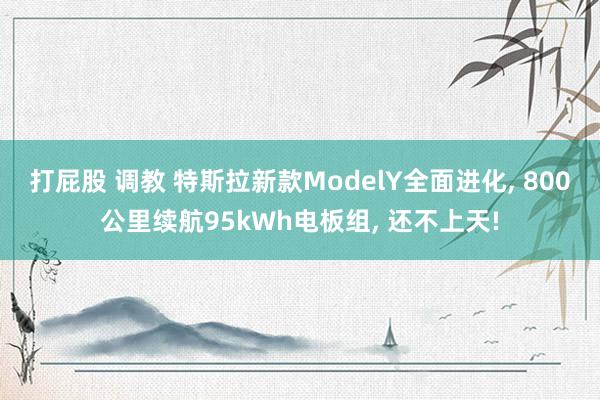 打屁股 调教 特斯拉新款ModelY全面进化， 800公里续航95kWh电板组， 还不上天!