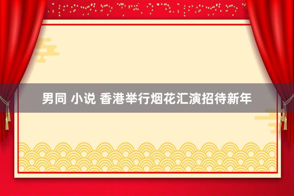 男同 小说 香港举行烟花汇演招待新年
