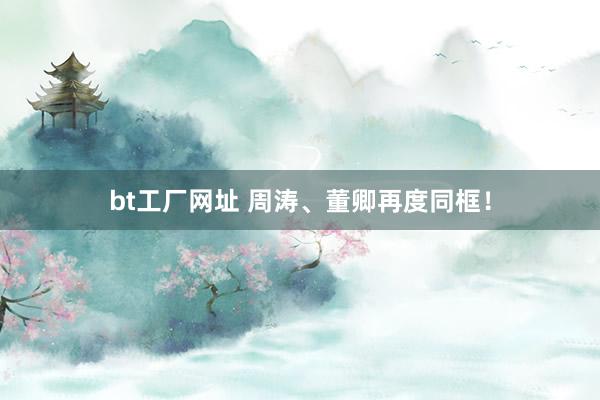 bt工厂网址 周涛、董卿再度同框！