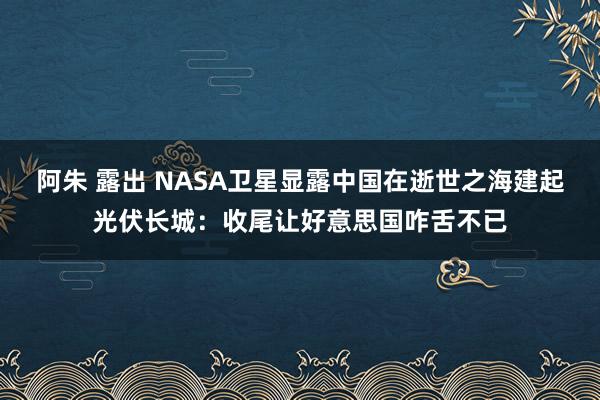 阿朱 露出 NASA卫星显露中国在逝世之海建起光伏长城：收尾让好意思国咋舌不已