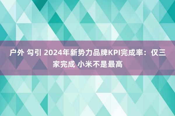 户外 勾引 2024年新势力品牌KPI完成率：仅三家完成 小米不是最高