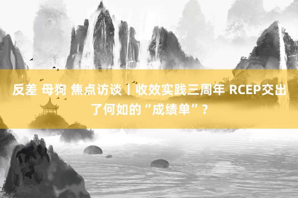 反差 母狗 焦点访谈丨收效实践三周年 RCEP交出了何如的“成绩单”？
