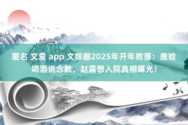 匿名 文爱 app 文娱圈2025年开年败落：鹿晗喝酒说念歉，赵露想入院真相曝光！